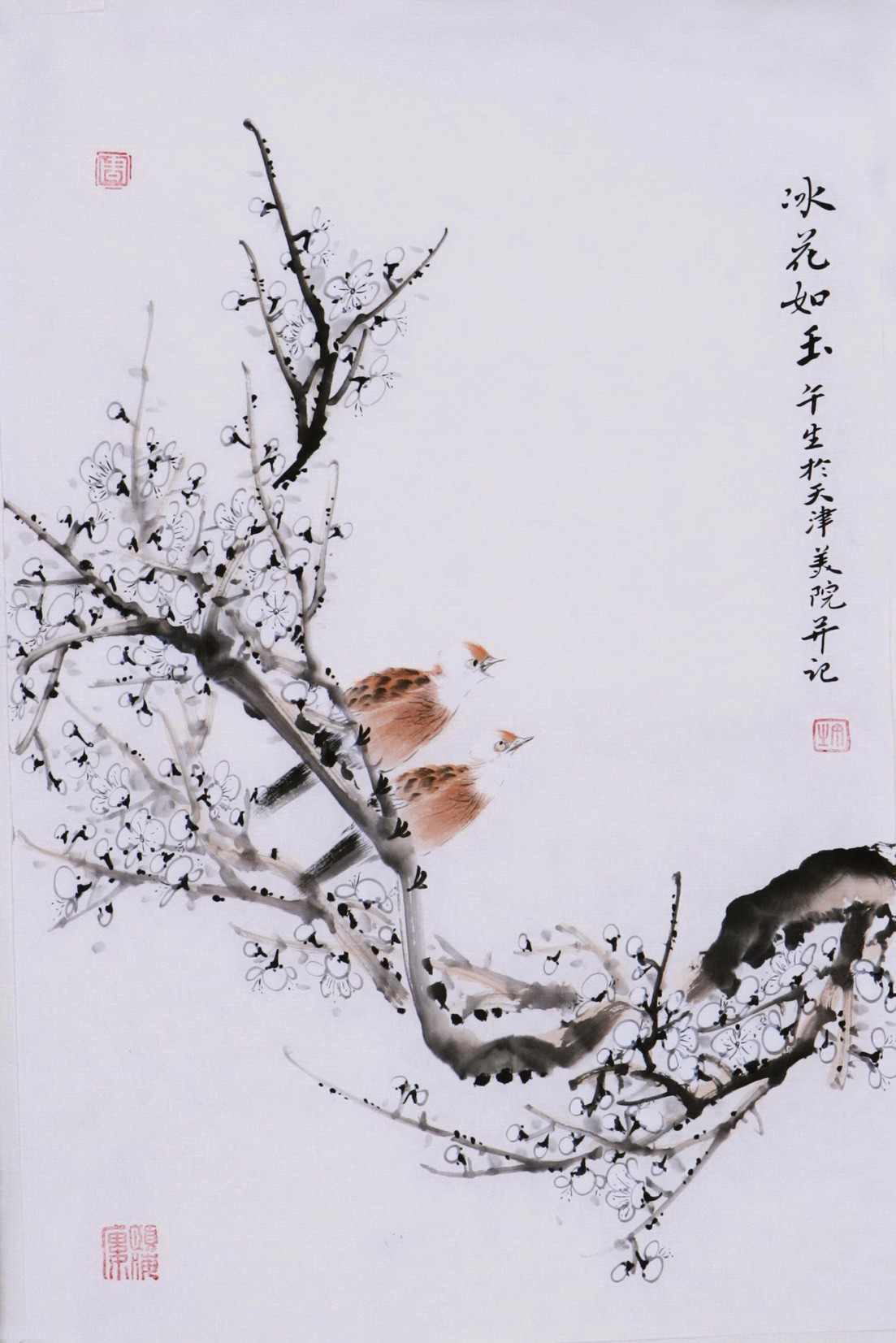 Plum - CNAG000913