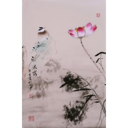 Lotus - CNAG000914