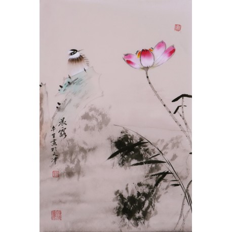 Lotus - CNAG000914