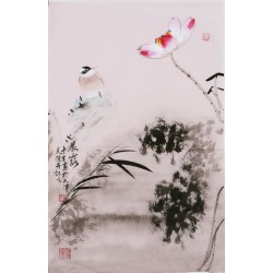 Lotus - CNAG000915