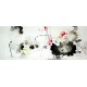 Chinese Lotus Painting - CNAG009265