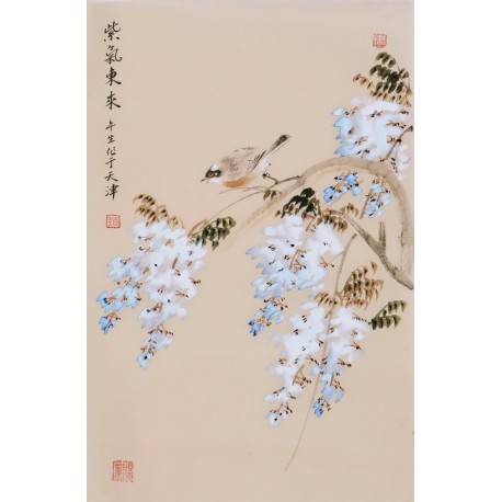 Wisteria - CNAG000918