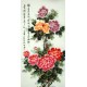 Chinese Peony Painting - CNAG009278