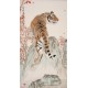 Tiger - CNAG000092