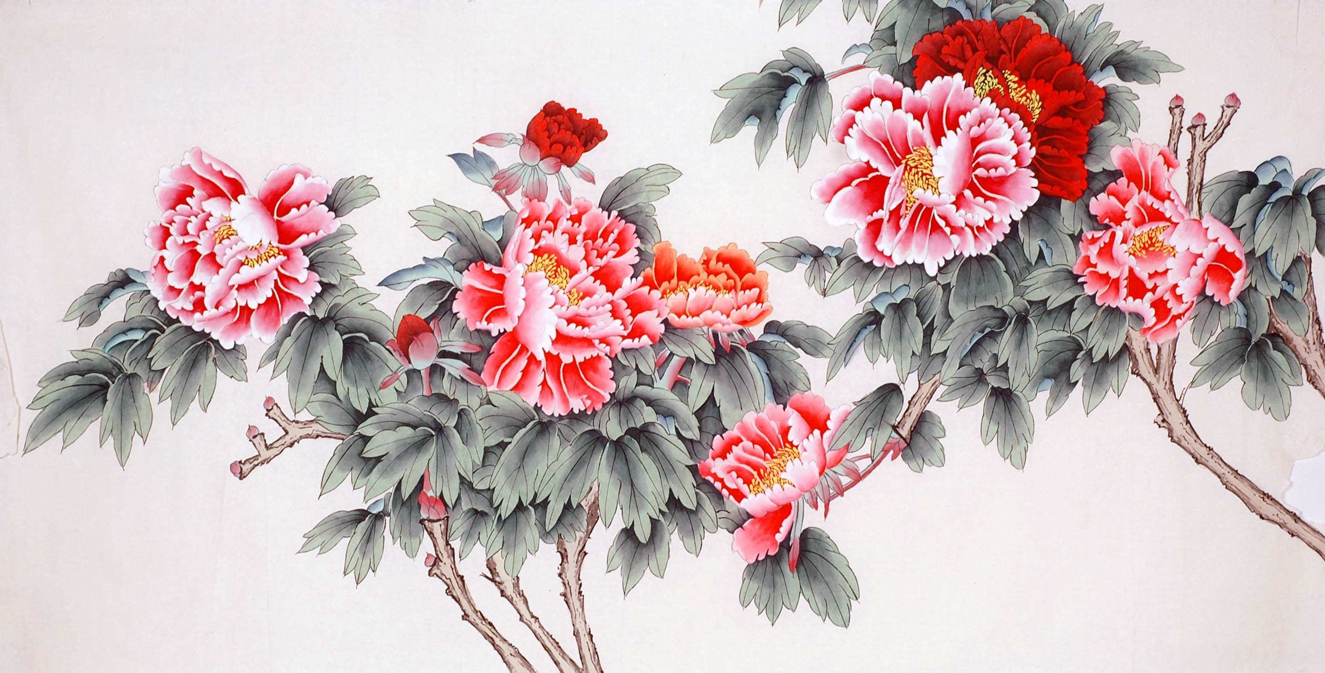 Chinese Peony Painting - CNAG009307