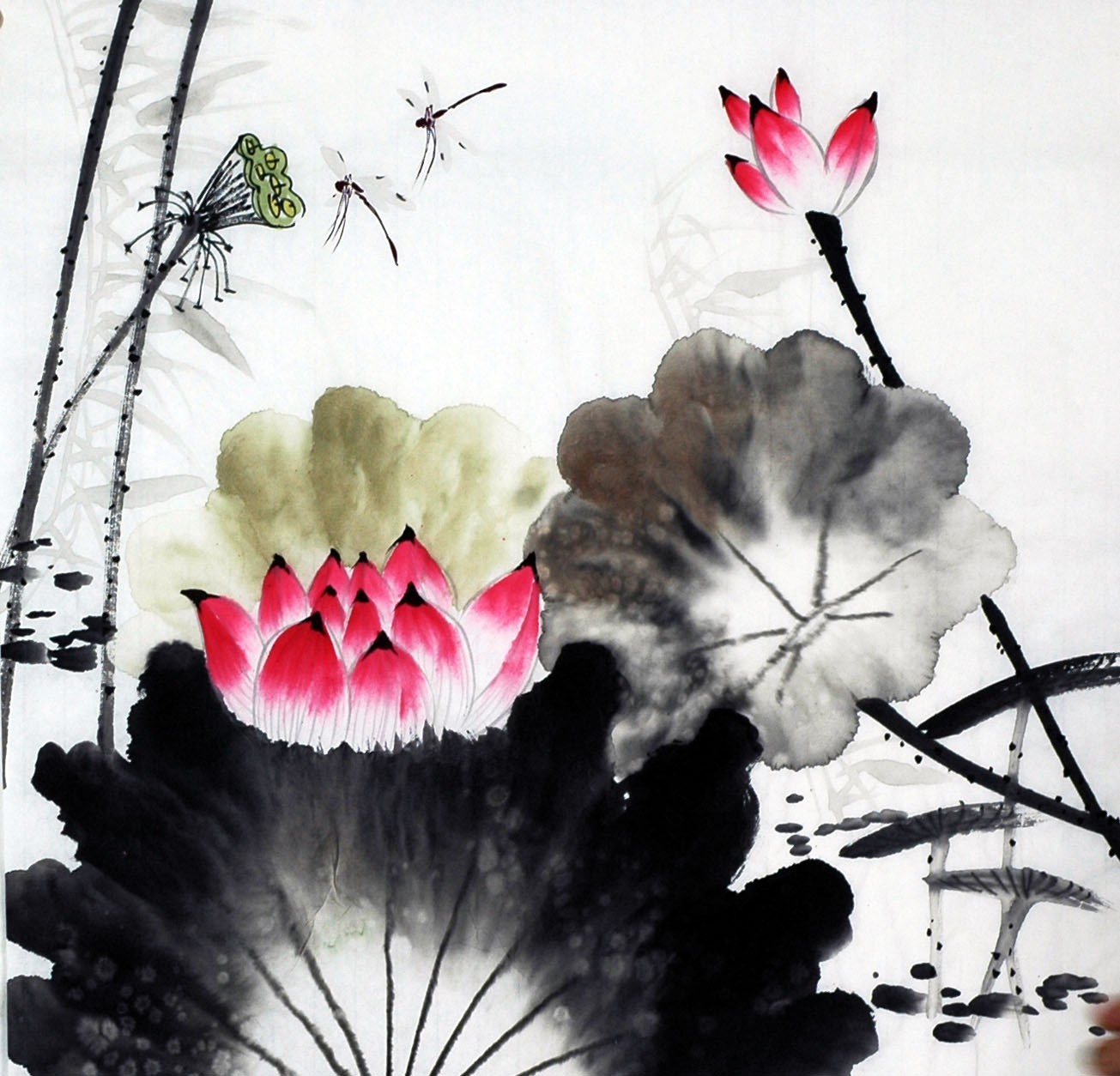 Chinese Lotus Painting - CNAG009321