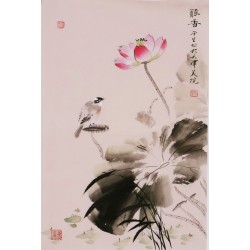 Lotus - CNAG000923