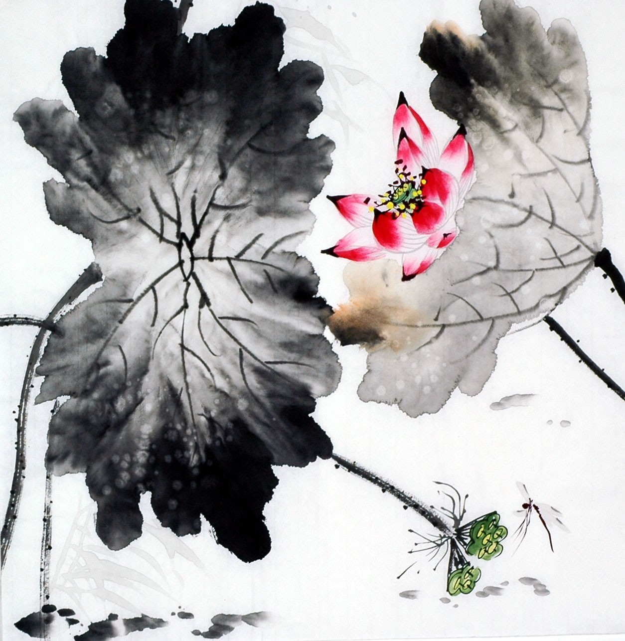 Chinese Lotus Painting - CNAG009330