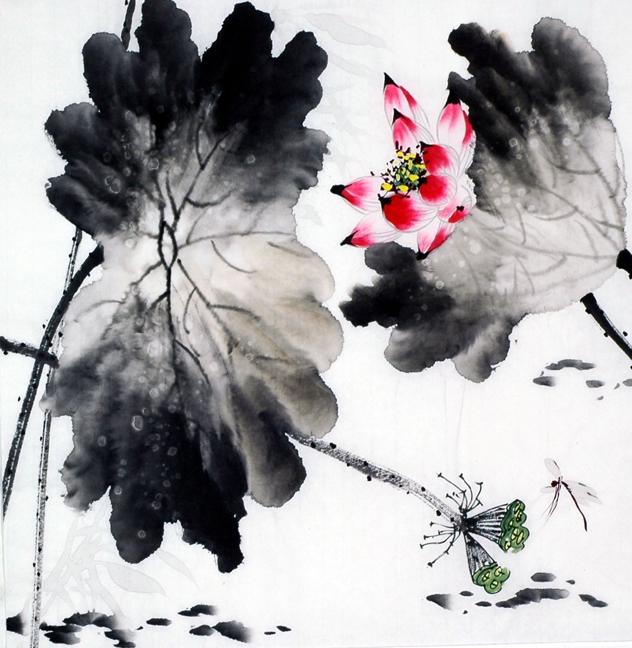 Chinese Lotus Painting - CNAG009331