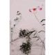 Lotus - CNAG000924