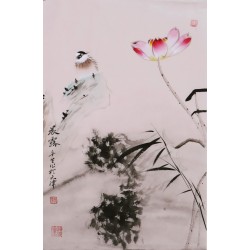 Lotus - CNAG000924