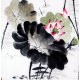 Chinese Lotus Painting - CNAG009333