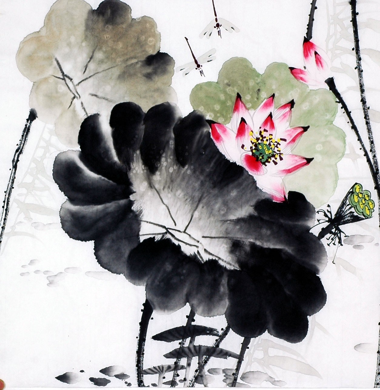 Chinese Lotus Painting - CNAG009333