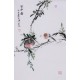 Other Birds - CNAG000926