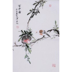 Other Birds - CNAG000926