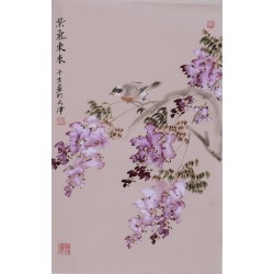 Wisteria - CNAG000929