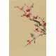 Plum - CNAG000931