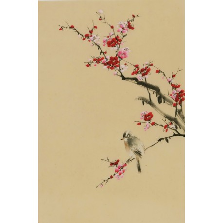 Plum - CNAG000931