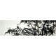 Chinese Ink Bamboo Painting - CNAG009427