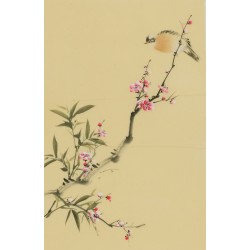 Plum - CNAG000935