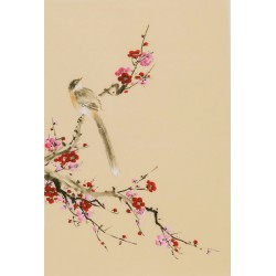 Plum - CNAG000936