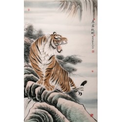Tiger - CNAG000094