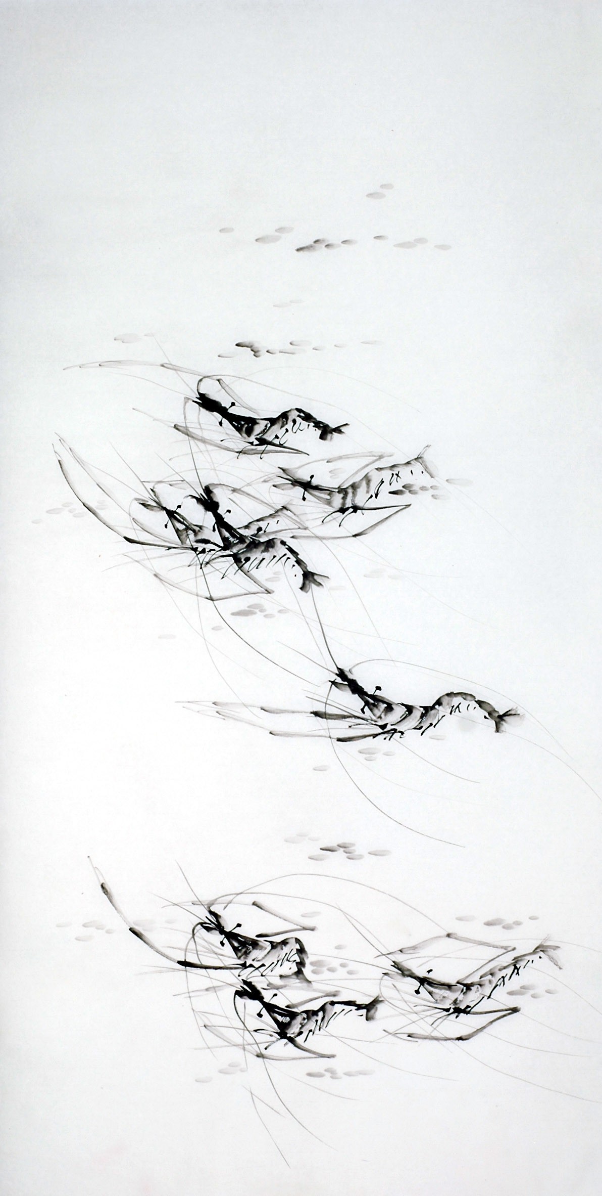 Chinese Shrimp Painting - CNAG009499