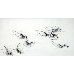 Chinese Shrimp Painting - CNAG009501