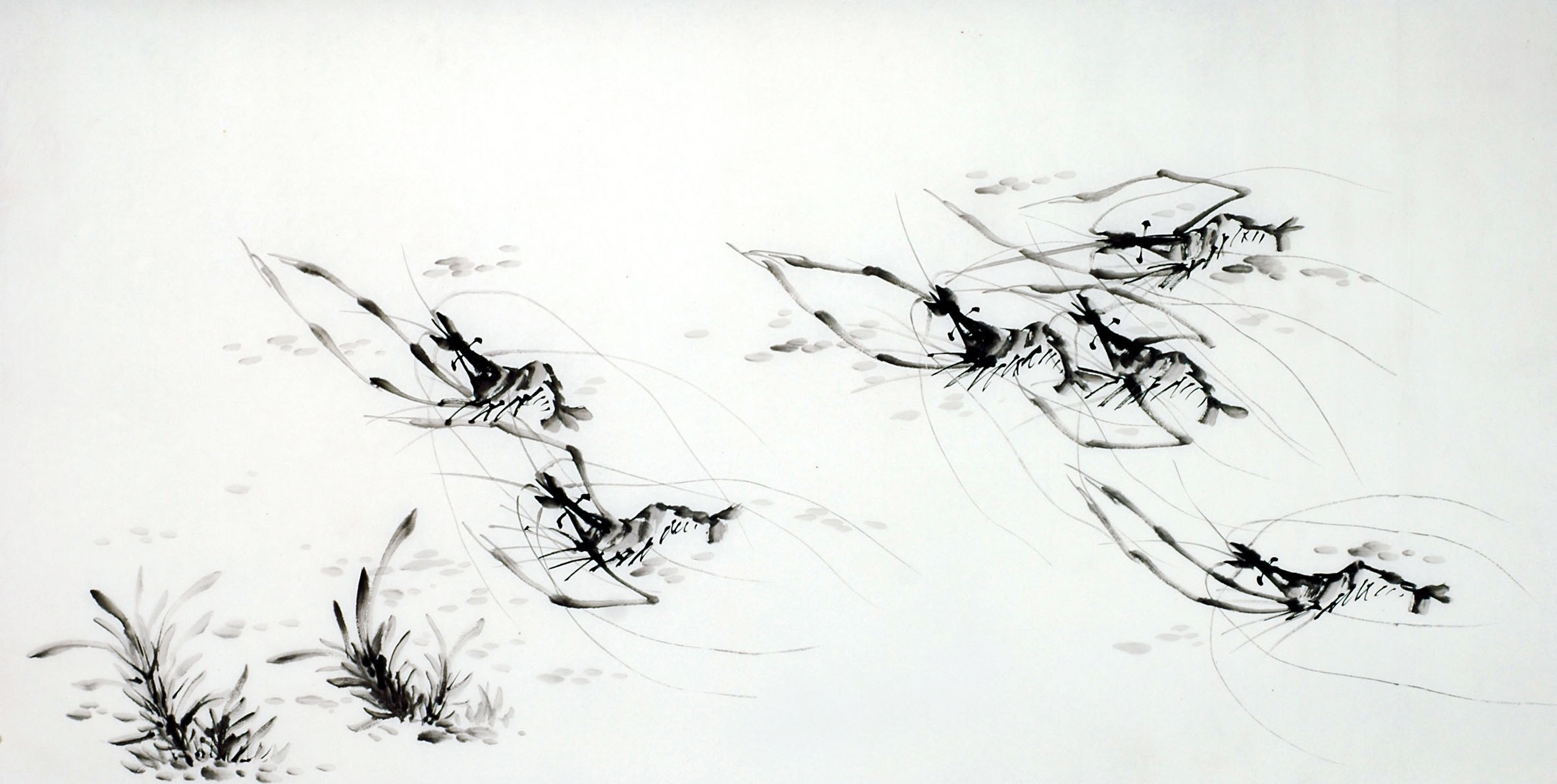 Chinese Shrimp Painting - CNAG009501