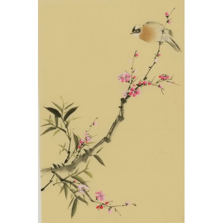Plum - CNAG000941