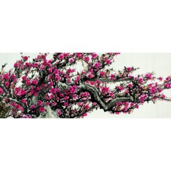 Chinese Plum Painting - CNAG009505