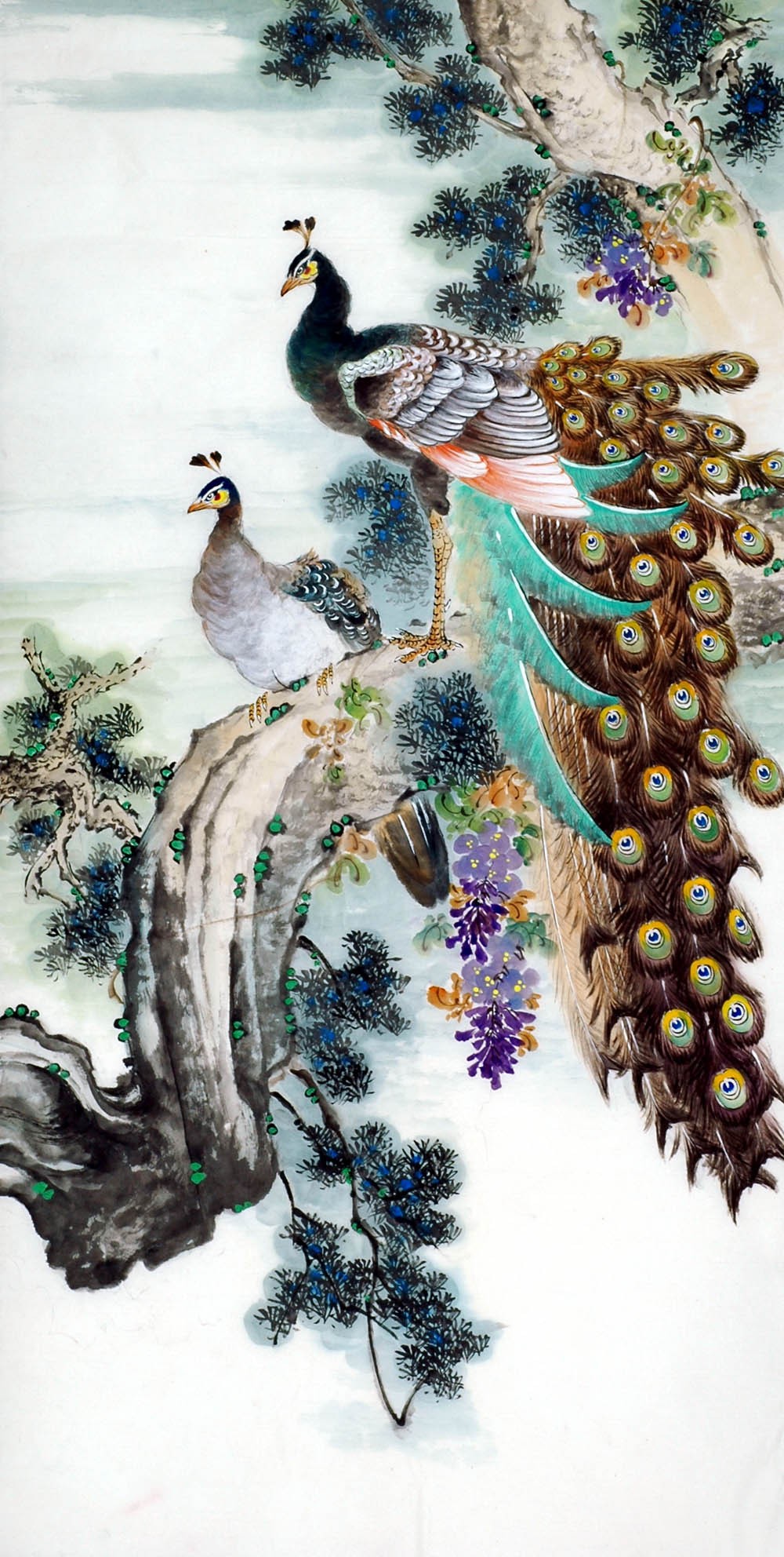 Chinese Peacock Painting - CNAG009515