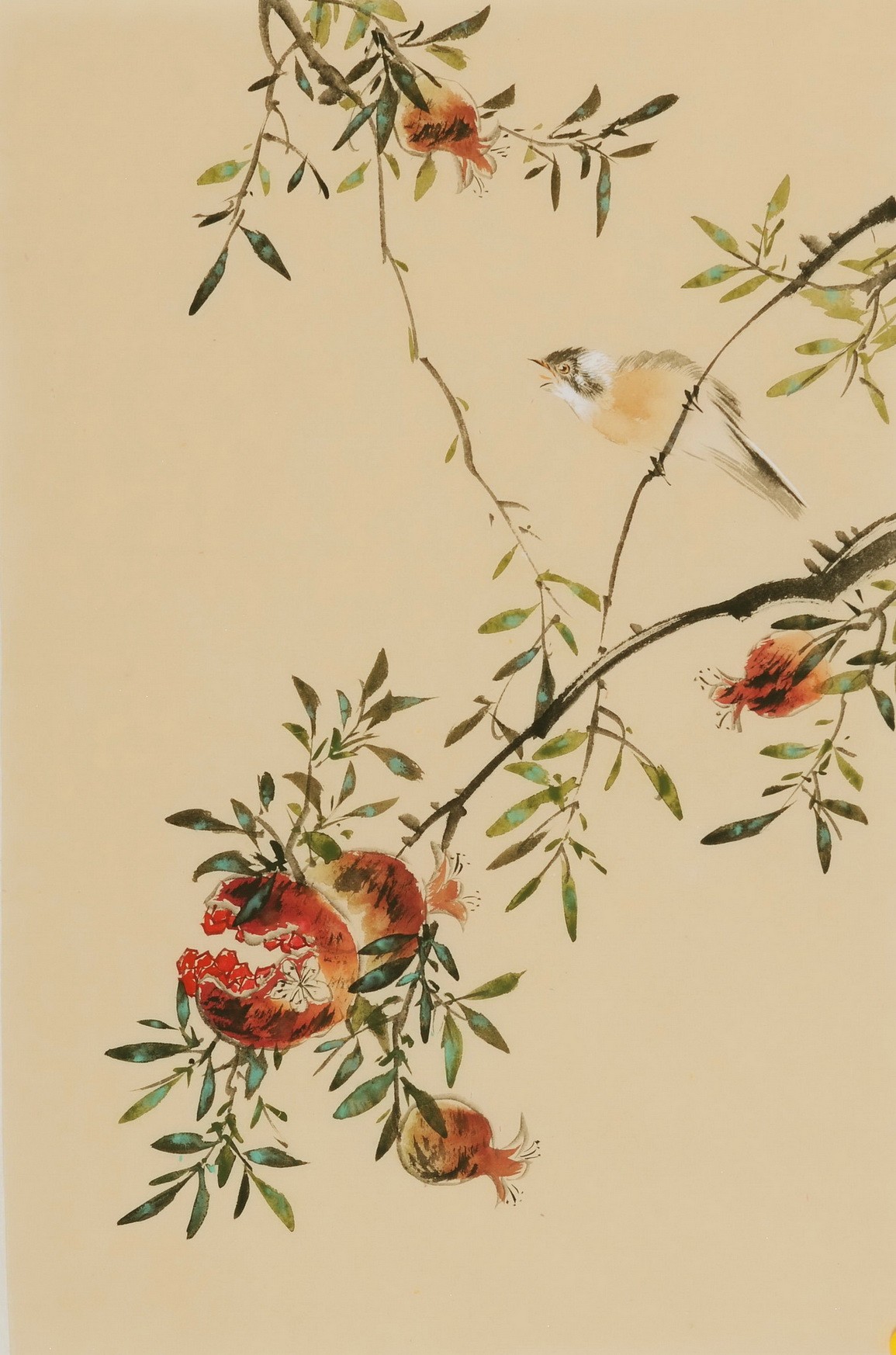 Other Birds - CNAG000943