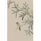 Green Bamboo - CNAG000945