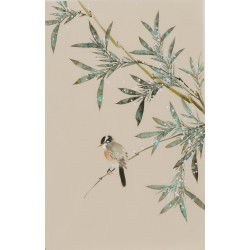 Green Bamboo - CNAG000945
