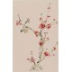 Plum - CNAG000946