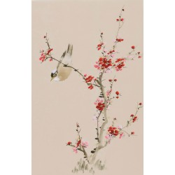 Plum - CNAG000946