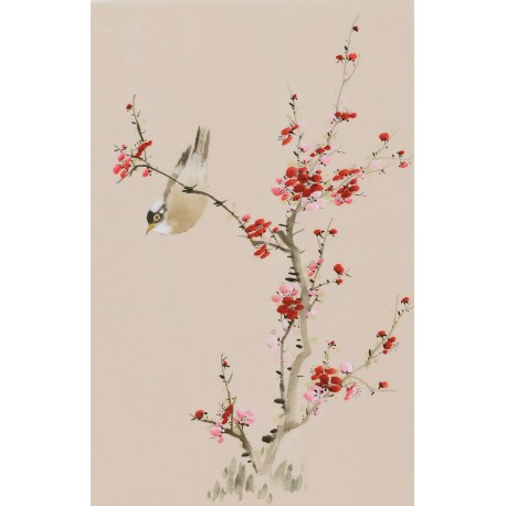 Plum - CNAG000946