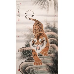 Tiger - CNAG000095