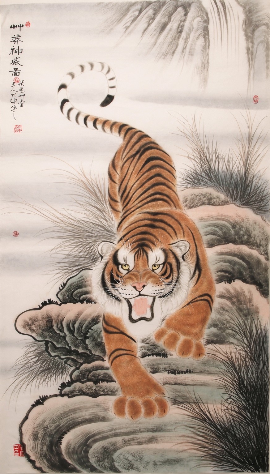 Tiger - CNAG000095