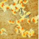 Chinese Plum Painting - CNAG009619