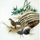 Chinese Plum Painting - CNAG009620