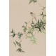 Green Bamboo - CNAG000953