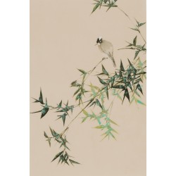 Green Bamboo - CNAG000953