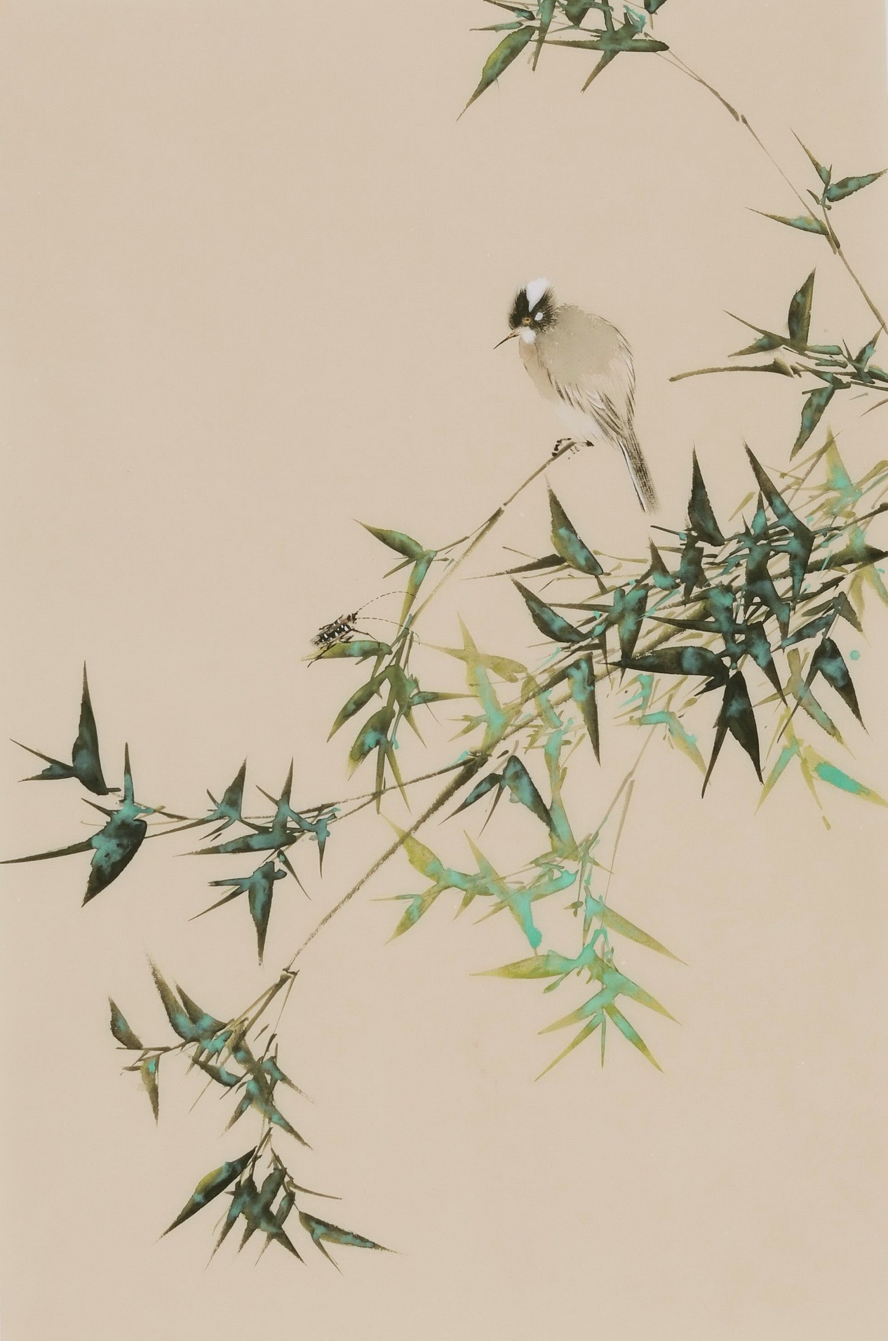 Green Bamboo - CNAG000953