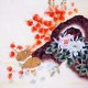 Chinese Plum Painting - CNAG009651