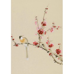 Plum - CNAG000956