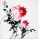 Chinese Peony Painting - CNAG009658