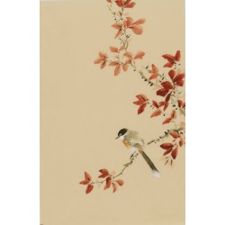 Other Birds - CNAG000957