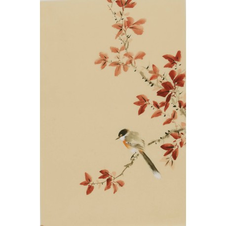Other Birds - CNAG000957